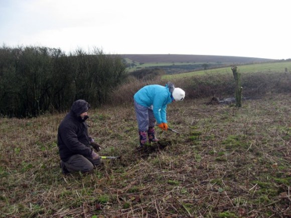 Looking SE at my niece & myself finding the wall-line between garden and farm-yard; 13th January 2013.