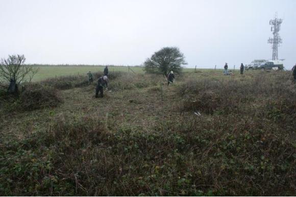 View WSW from demolition rubble mound E side of the house site looking SW across back garden towards S farmyard boundary between the trees left and centre; 10th January 2013.