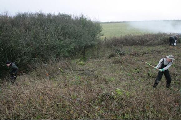 Looking slightly W of S from bulldozed mound of rubble to E of house site looking towards SE corner of the garden just under the Prunus scrub; 10th January 2013.