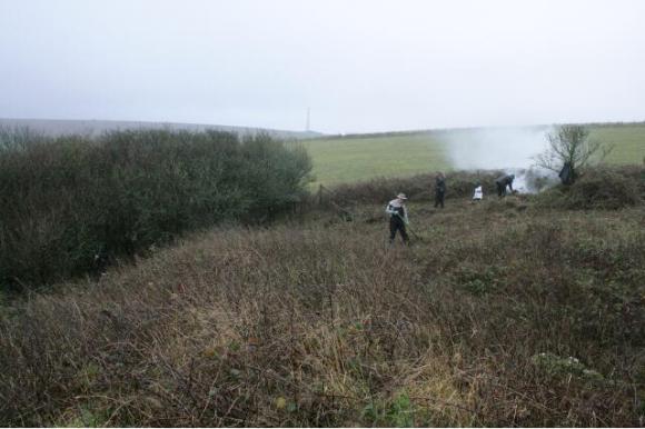 Looking S along bulldozed mound of demolition rubble partially hidden by brambles. The side of the house would have been on the right of the picture. The small elder bush to the right of the fire marks the junction of the wall dividing the garden to its left from the farmyard to its right, and the wall which bounded both to the south; 10th January 2013.