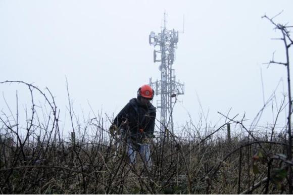 Looking W at Newmarket Farm site being cleared of brambles; 10th January 2013.