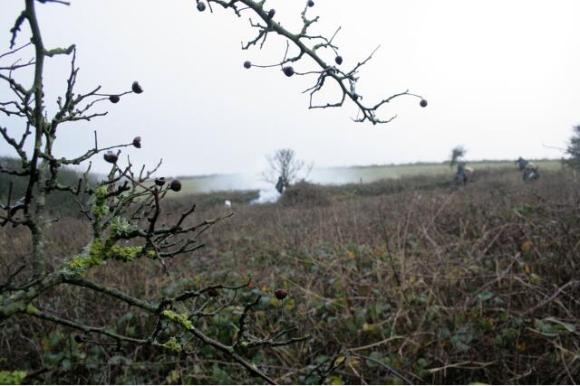 Taken from under the spreading hawthorn near the NE corner of the house site, looking slightly west of south, with the elder (centre back near the fire) marking the site of the back wall between garden and farmyard; 10th January 2013.