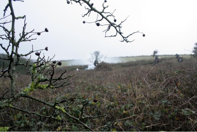Taken from under the spreading hawthorn near the NE corner of the house site, looking slightly west of south, with the elder (centre back near the fire) marking the site of the back wall between garden and farmyard; 10th January 2013.