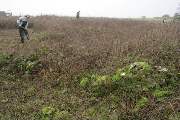 A view of the site looking to the NW with a piece of demolished masonry revealed from under the brambles; 10th January 2013.