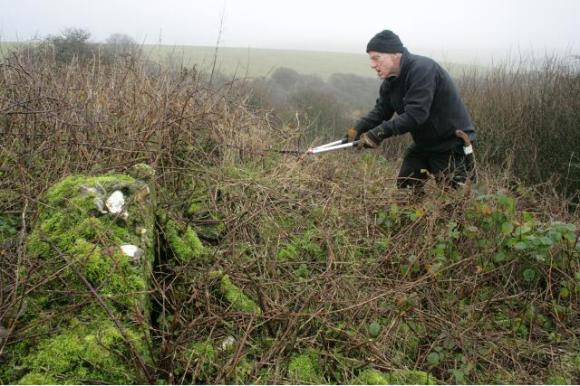 Volunteer clearing back some of the vegetation from the mound of demolition rubble, just inside the east boundary wall of the garden, looking E - upright piece of masonry is not in situ - 10th January 2013.