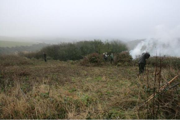 View from location of barn on NW side of site looking SE across the farmyard towards distant Prunus scrub marking SE corner of the garden; 10th January 2013