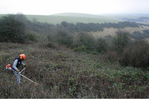 View beyond the site, towards Castle Hill to the NE, from on top of the mound of demolition rubble; 10th January 2013