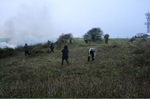 Looking approx WSW from SE corner of house towards distant hawthorn near SW corner of farmyard showing surface contours of site being revealed; 10th January 2013