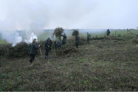 Photo taken approx SE corner of house site looking SW towards tree stump marking junction of dividing wall separating the garden on left, from the farmyard on right where it met the S property boundary; 10th January 2013.