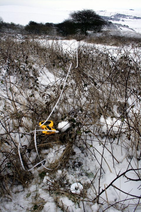 Looking East along northern site boundary