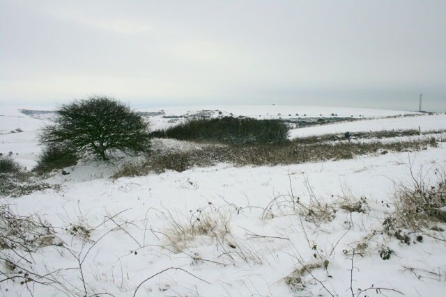 Looking SE at Newmarket Cottage site in snow; January 21st 2013.