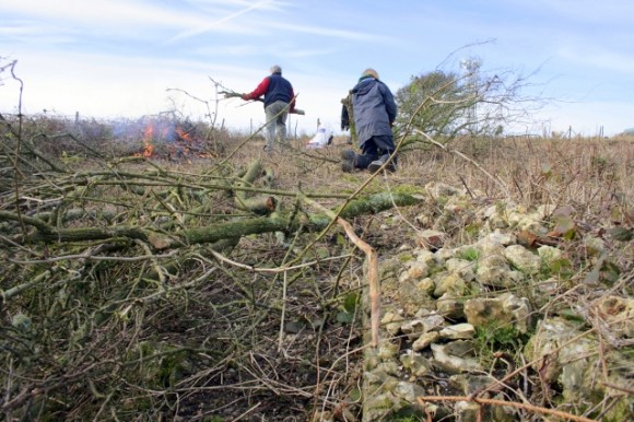 South garden boundary wall, looking north.