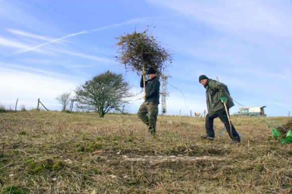 Looking W from back garden 'over' the garden/farmyard wall.