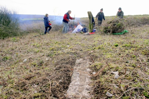 Looking S along line of garden/farmyard wall.