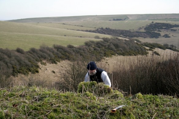 Looking E over the mound of bulldozed rubble at Malcolm Emery and Castle Hill NNR beyond