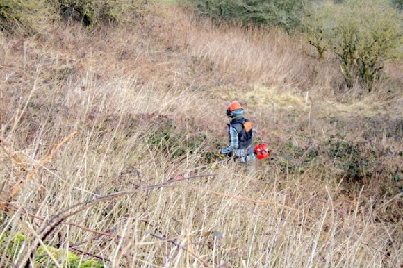 Lokking down from rubble mound at Lou Parkinson clearing just to the E/NE of the site. 