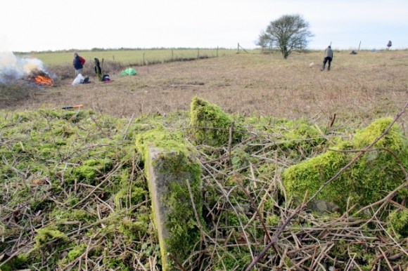 Large pieces of a fine grained sandstone in the rubble mound