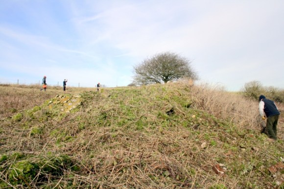 Looking N along the line of the rubble mound
