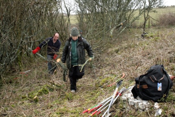 East side of Newmarket Farm, clearing prunus scrub