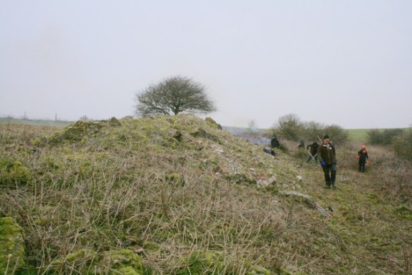 SE corner of site looking N along bulldozed rubble wall