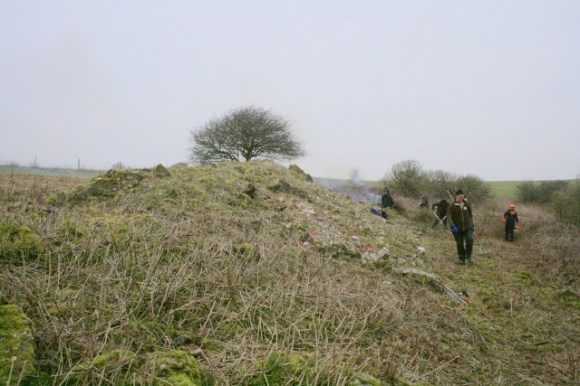 SE corner of site looking N along bulldozed rubble wall