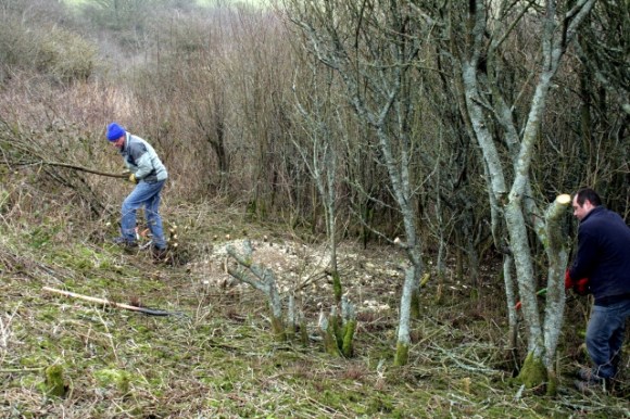WW2 shell crater revealed during clearance.