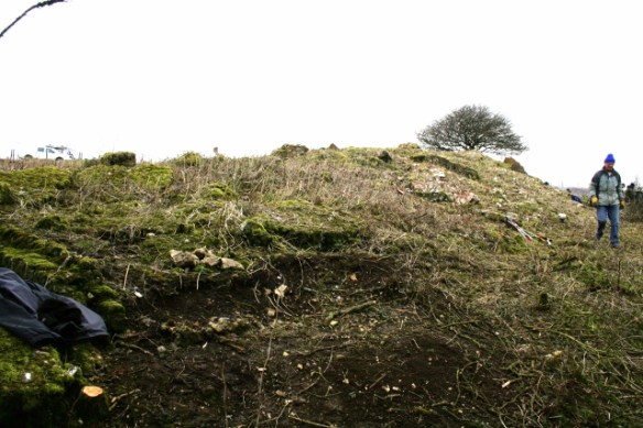 SE corner of site looking N along bulldozed rubble mound.