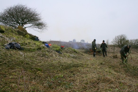 NE corner of site, burning cut scrub