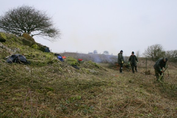 NE corner of site, burning cut scrub