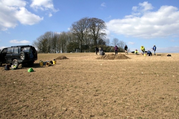 Rocky Clump, Stanmer