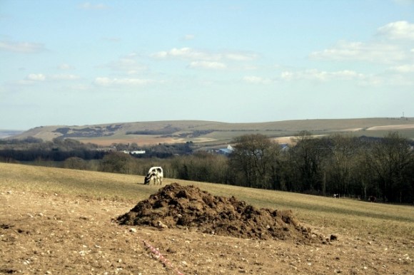 View from Rocky Clump SE to Newmarket Hill (far right) and Kingston Ridge (far left)
