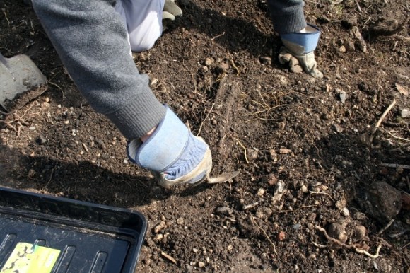 Some iron finds from trench 1A