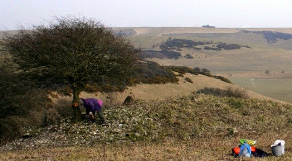 North end of rubble mound