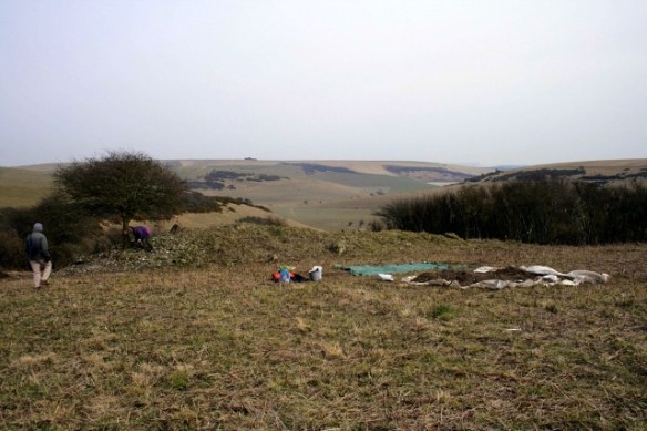Looking SE from NW corner of Farmyard