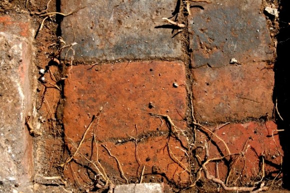 Tiled floor near front door