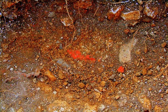 Colour enhanced photo of embeded fragment of brick and slate associated with mortar foundations