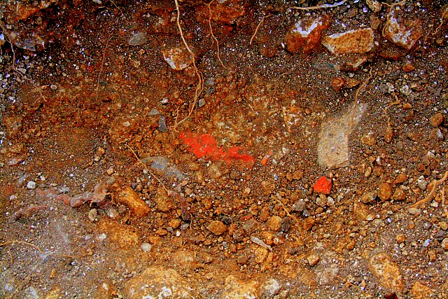 Colour enhanced photo of embeded fragment of brick and slate associated with mortar foundations