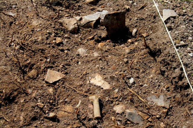 .303 rifle catridge