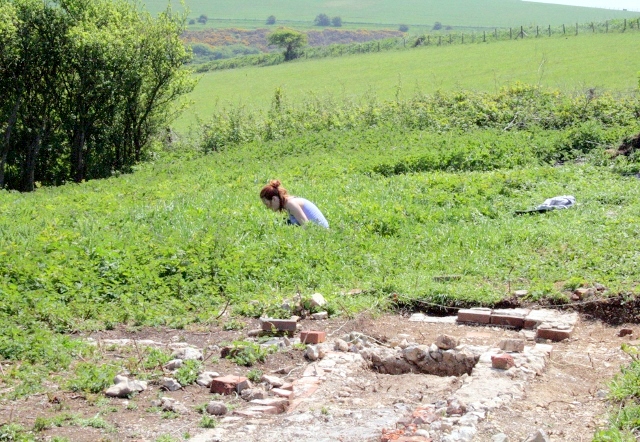 Spearmint (near water-tank) picked from amongst the nettles