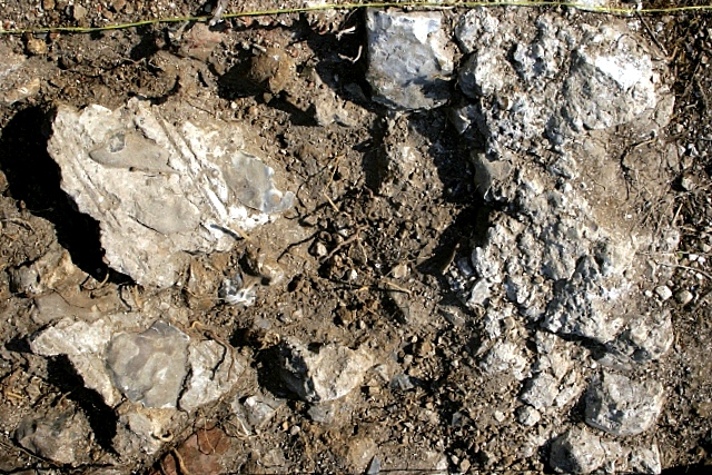 Collapsed wall fragments