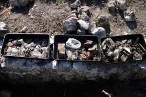 Looking W at finds trays; 14th June 2013.