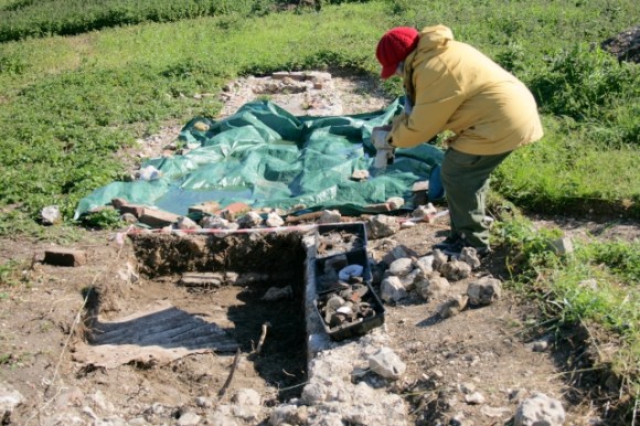 Looking S towards front of house (under tarpaulin) from garden/farmyard wall
