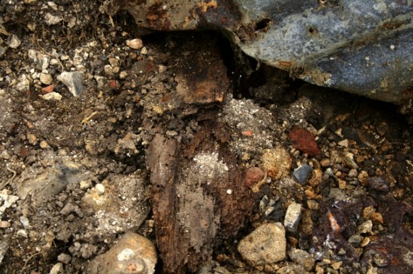 Wooden timber under corrugated iron sheet.