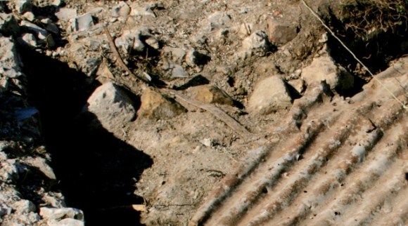 Row of stones possibly marking edge of path to outside toilet