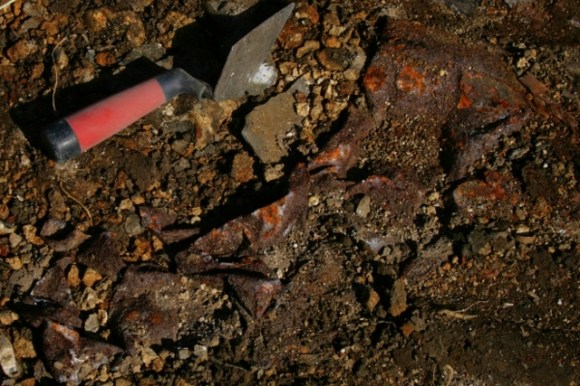 Metal container, from under corrugated iron sheet