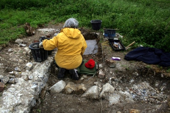 Diagonally laid masonry possibly edging a path to the toilet