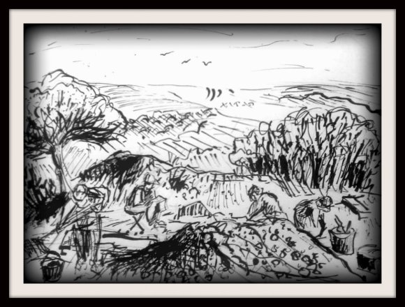 Newmarket Farm Dig by Dominic Sladden