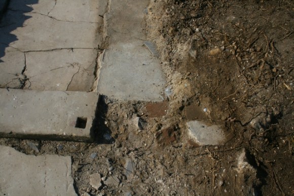 Bricks which may form part of the toilet wall