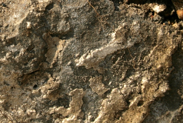 Badly preserved plaster rendering on N end of toilet side door