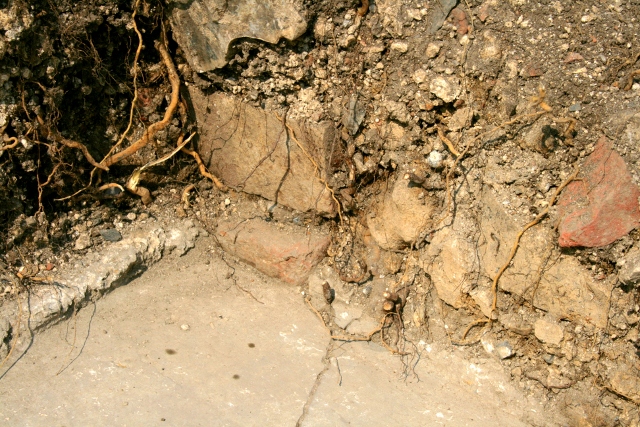 NE corner of toilet wall